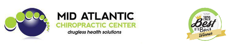 Website Logo